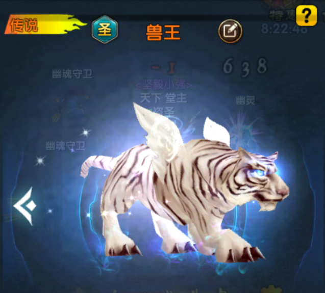 宠物-兽王